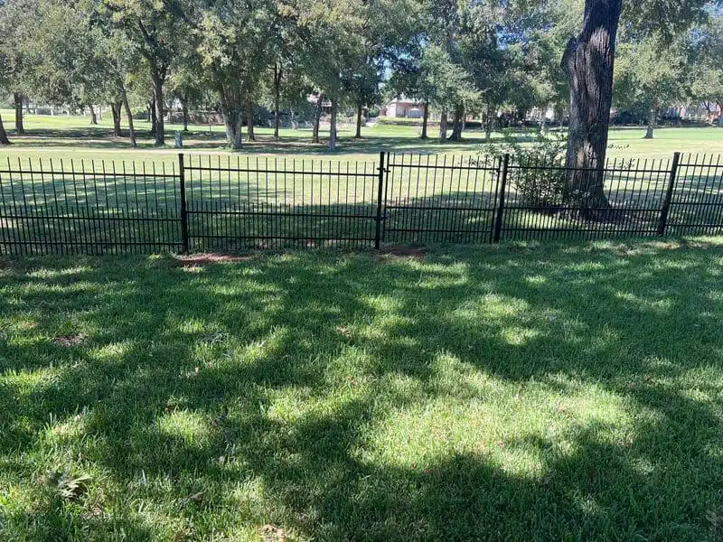 Black ornamental metal dog fence with gate facing a park