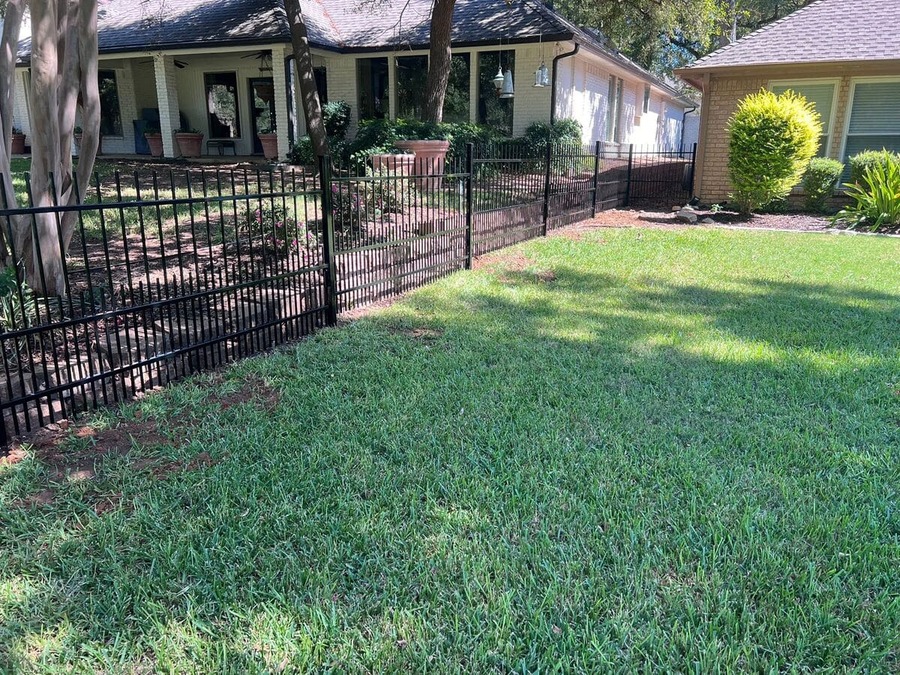 Black metal picket fence enclosing a front yard lawn